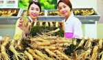Khám phá đất nước Hàn Quốc 5n4đ - Ngắm mùa hoa Anh Đào (khởi hành từ Nha Trang)